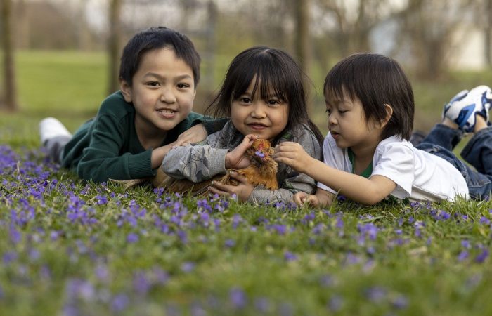 Enfants_:_comment_se_débarrasser_des_poux_?